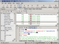 TracePlus Web Detective (Standard Edition) screenshot